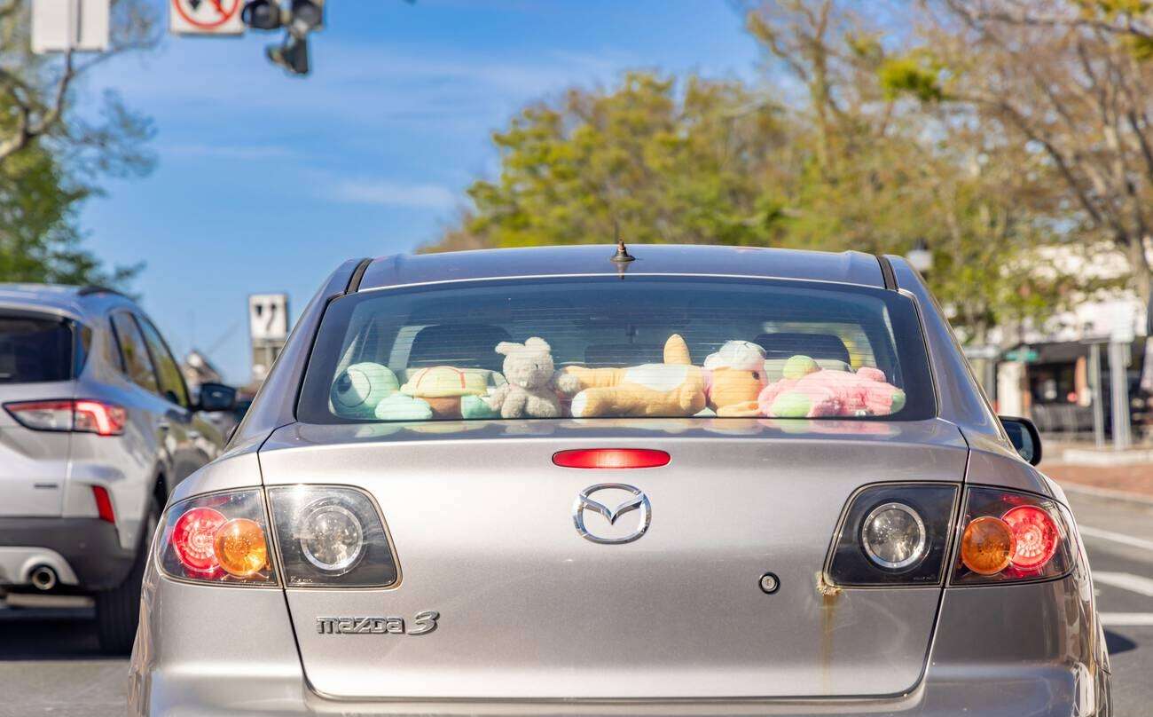 soft toys in the back window of a car